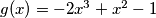 g(x)=-2x^3+x^2-1