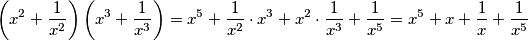 \left(x^{2}+\frac{1}{x^2}\right)\left(x^{3}+\frac{1}{x^3}\right) = x^{5} + \frac{1}{x^2} \cdot x^3 +x^2 \cdot \frac{1}{x^3}+\frac{1}{x^5}=x^{5} + x + \frac{1}{x}+\frac{1}{x^5}
